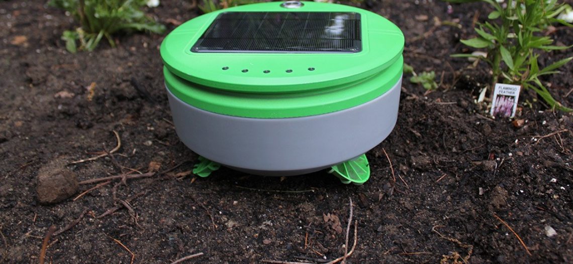 Notre Veille : Tertill, le robot solaire qui désherbe votre jardin