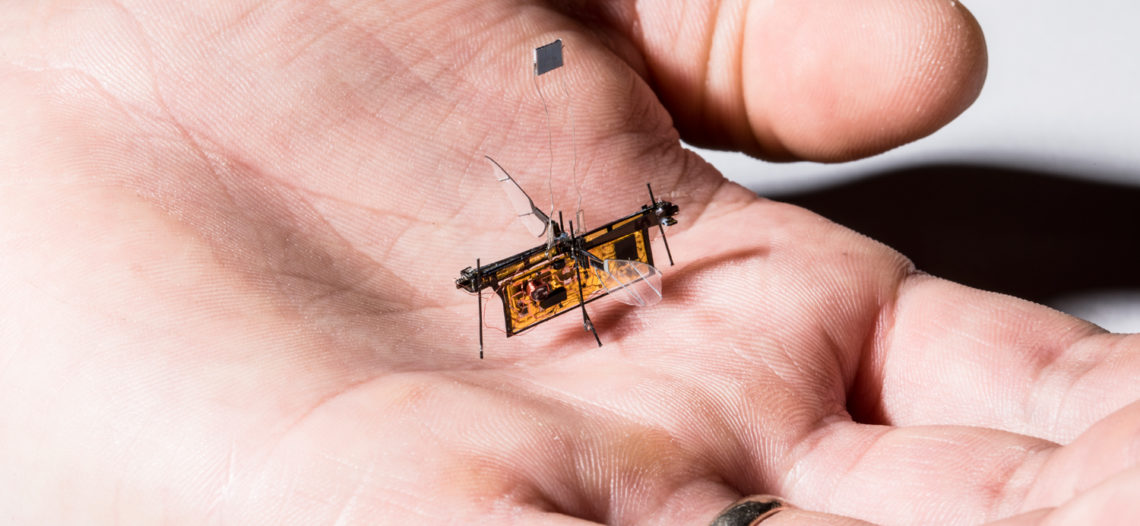 Notre Veille : RoboFly est le premier robot insecte à voler sans être relié à un fil – Tech<span class="wtr-time-wrap block after-title"><span class="wtr-time-number">1</span> min de lecture pour cet article.</span>