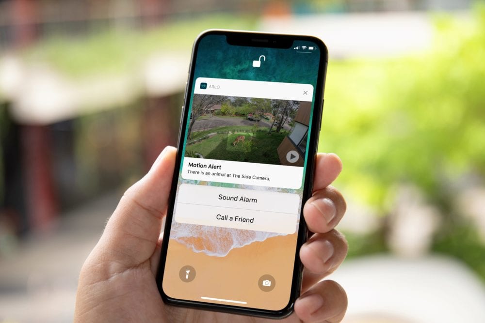 19-arlo-smart-animal-outside-min-1000x667 Arlo Smart est désormais disponible en France